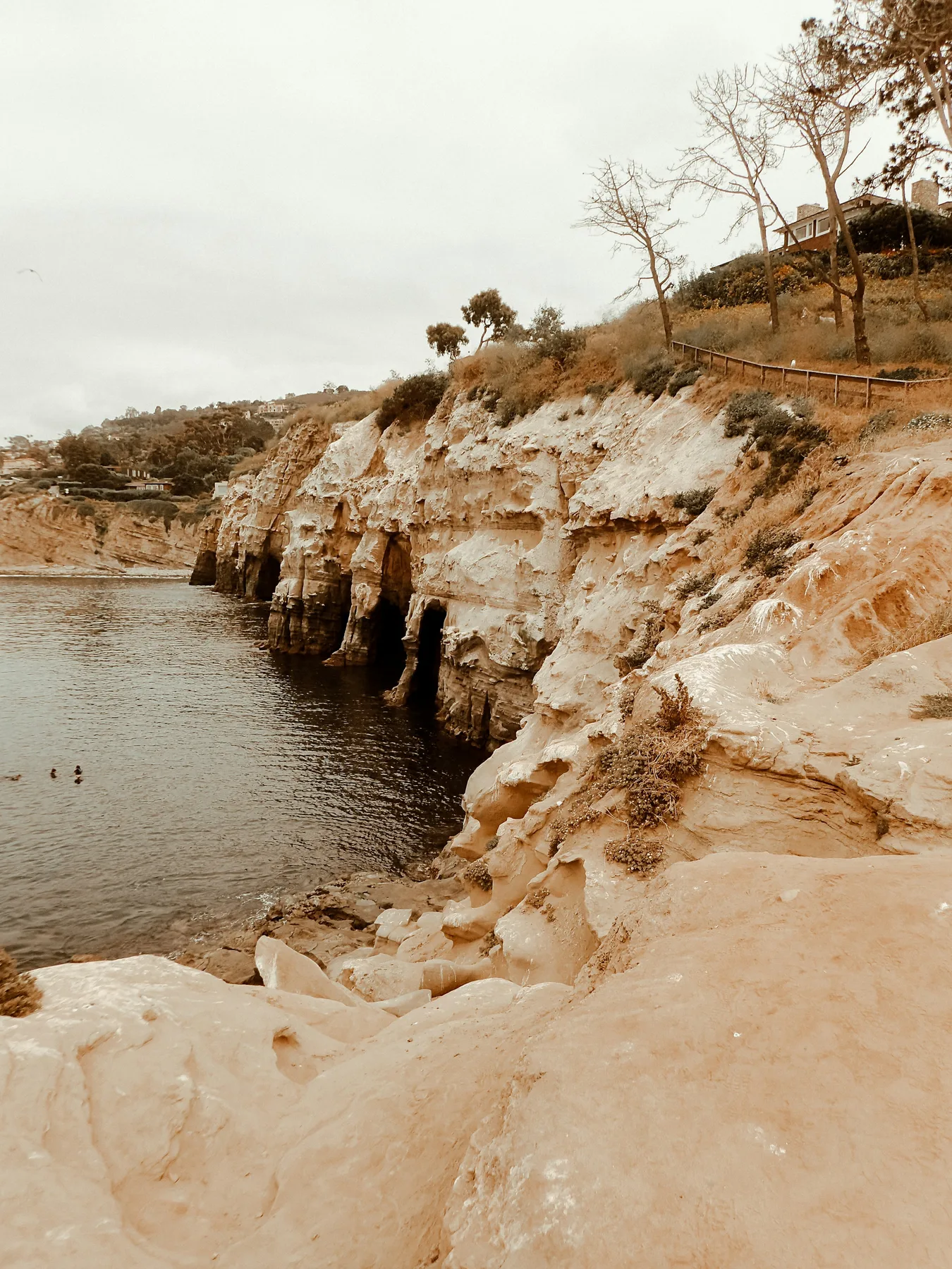 Sandstone cliffs meeting the water at La Jolla Cove